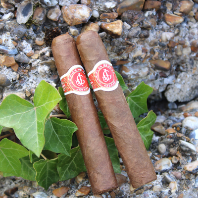 La Flor de Cano Elegidos Cigar - 1 Single